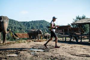 BIB: 
                            <button type="button" onclick="openModal(22423598)" class="btn btn-primary btn-sm float-right btn-popup" data-toggle="modal" data-target=".modal-high-quality">
                        <i class="fas fa-shopping-cart"></i> Add to Cart
                    </button>
                                            <button type="button" onclick="isThisMe(22423598, true)" class="btn btn-success btn-sm float-right btn-popup btn-isme hidden" data-toggle="tooltip" data-placement="bottom" title="นี่คือรูปของคุณใช่ไหม คลิกที่นี่เพื่อเอาเข้าอัลบั้ม">
                        <i class="fas fa-plus"></i> Add to album
                    </button>
                    <button type="button" onclick="isThisMe(22423598, false)" class="btn btn-warning btn-sm float-right btn-popup btn-isnotme hidden">
                        <i class="fas fa-ban"></i> Remove from album
                    </button>